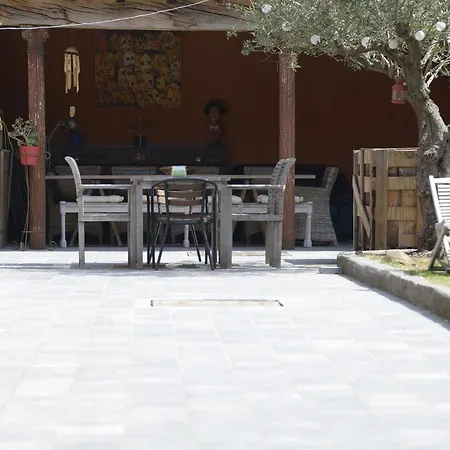 Guest house Absolute