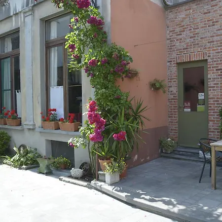 Absolute Guest house *