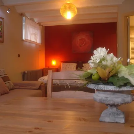 Absolute Guest house *