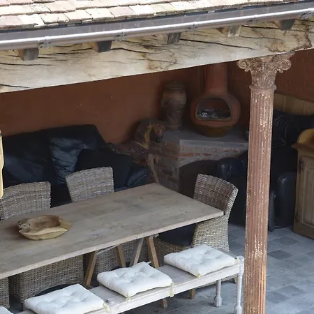 Absolute Guest house *